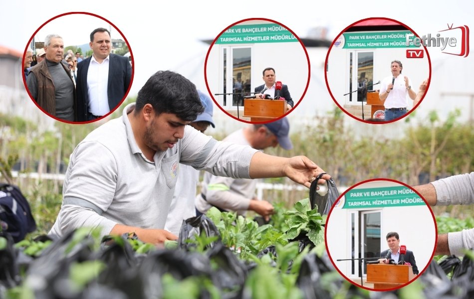 Dalaman’da Üreticilere Fide Desteği Sağlandı