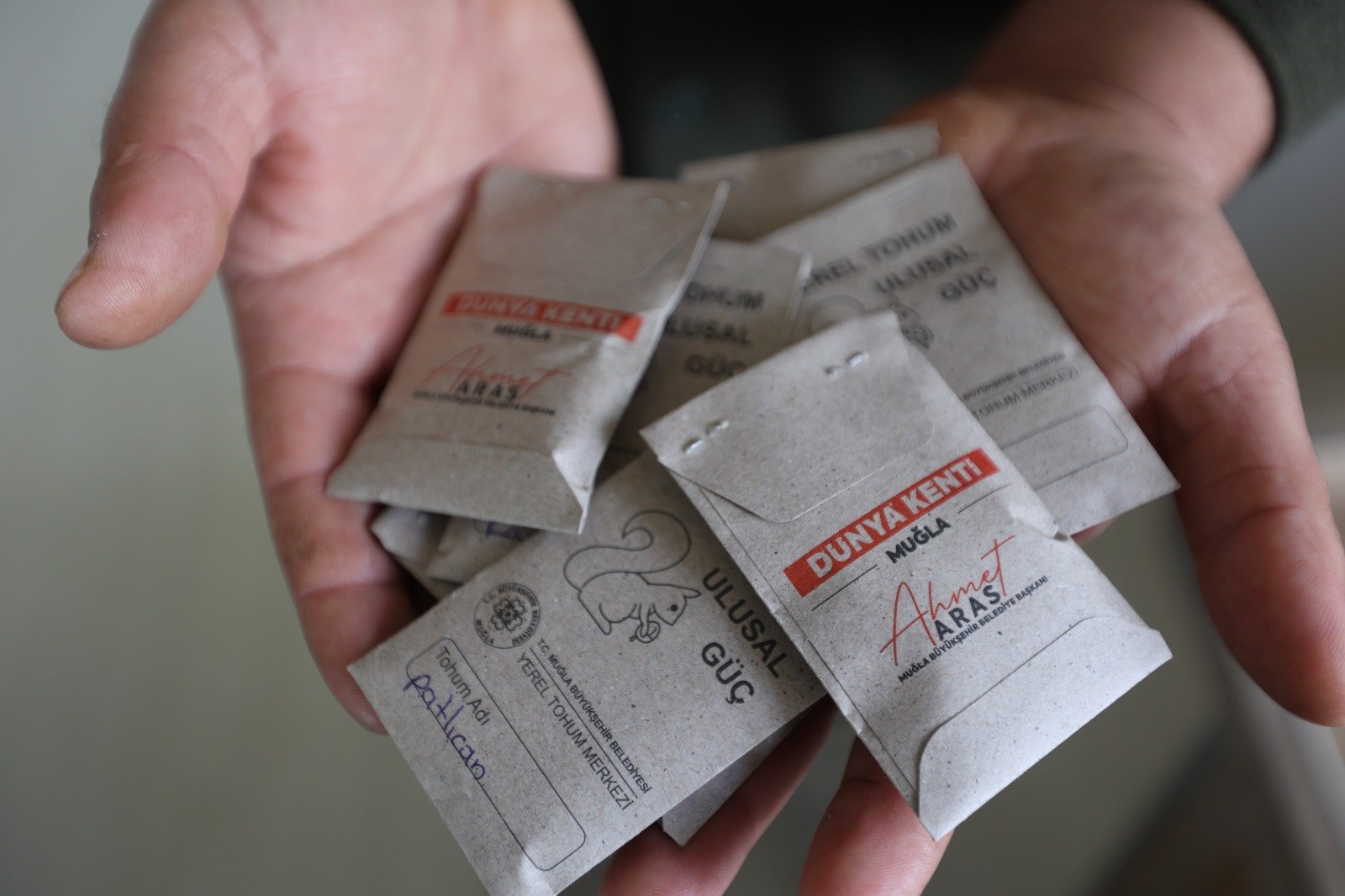 Muğla’nın Ata Tohumları Ülke Toprakları Ile Buluşmaya Devam Ediyor (3)