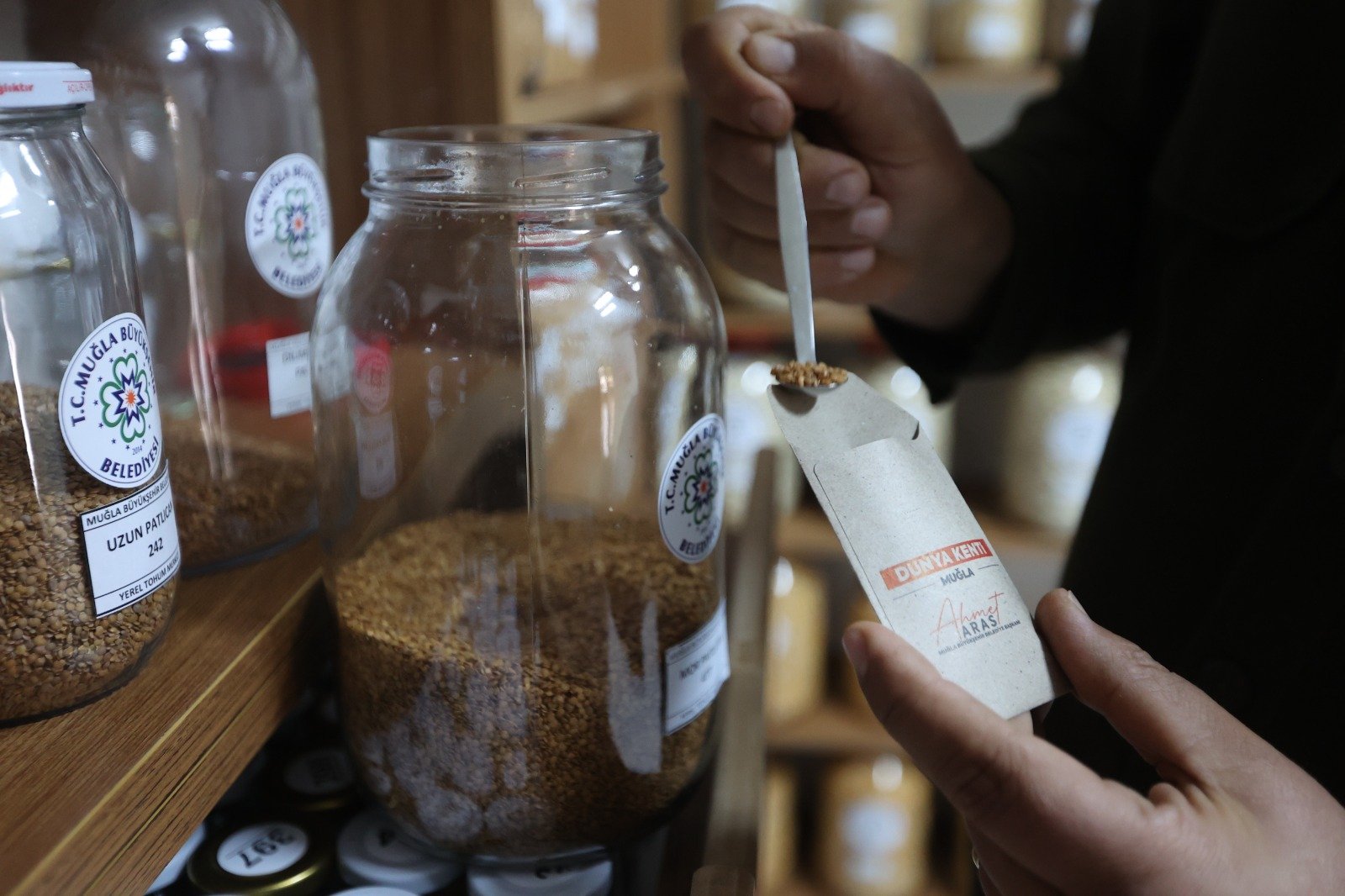 Muğla’nın Ata Tohumları Ülke Toprakları Ile Buluşmaya Devam Ediyor (6)