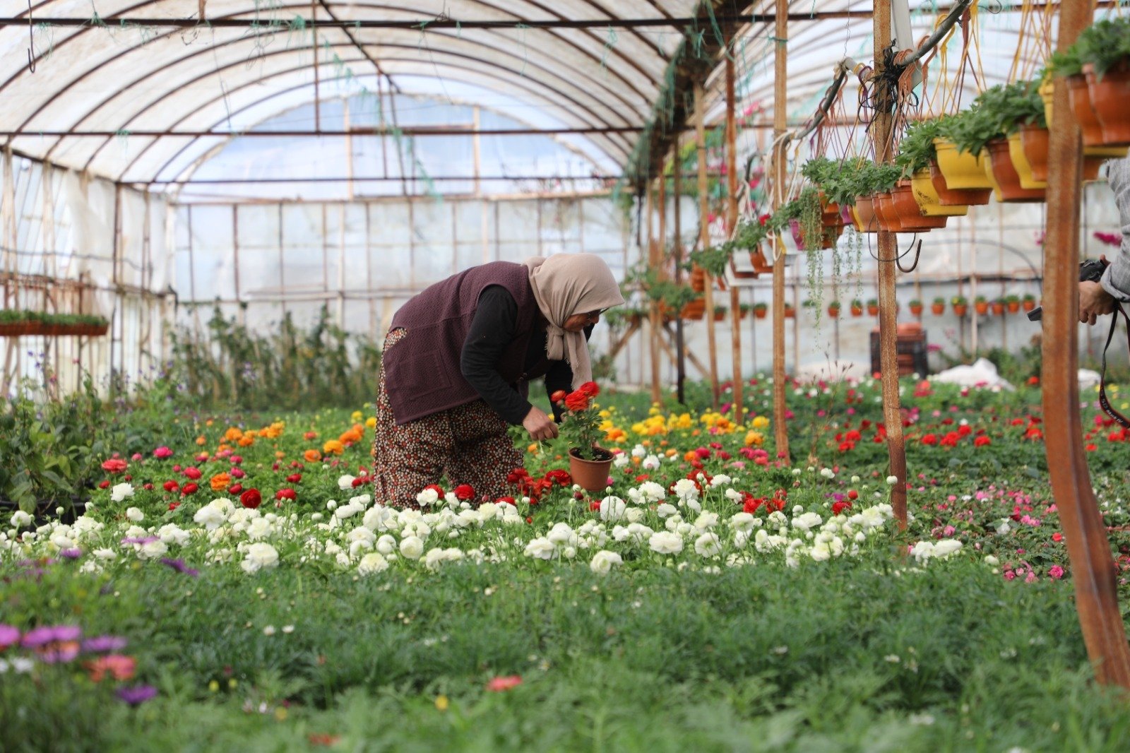 ‘Üretici Kadınlar’ Meclisi Kuruluyor (2)