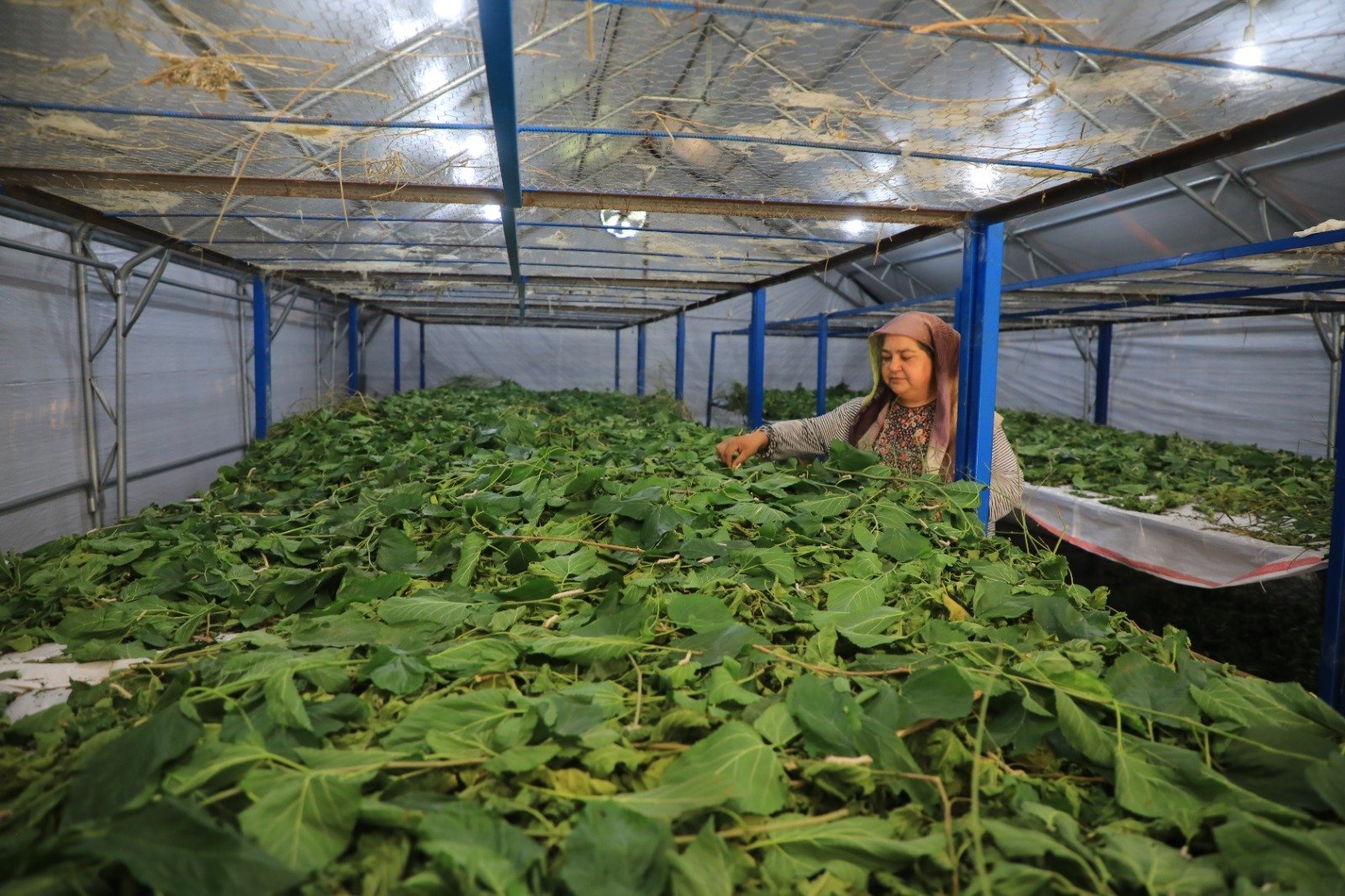 ‘Üretici Kadınlar’ Meclisi Kuruluyor (5)