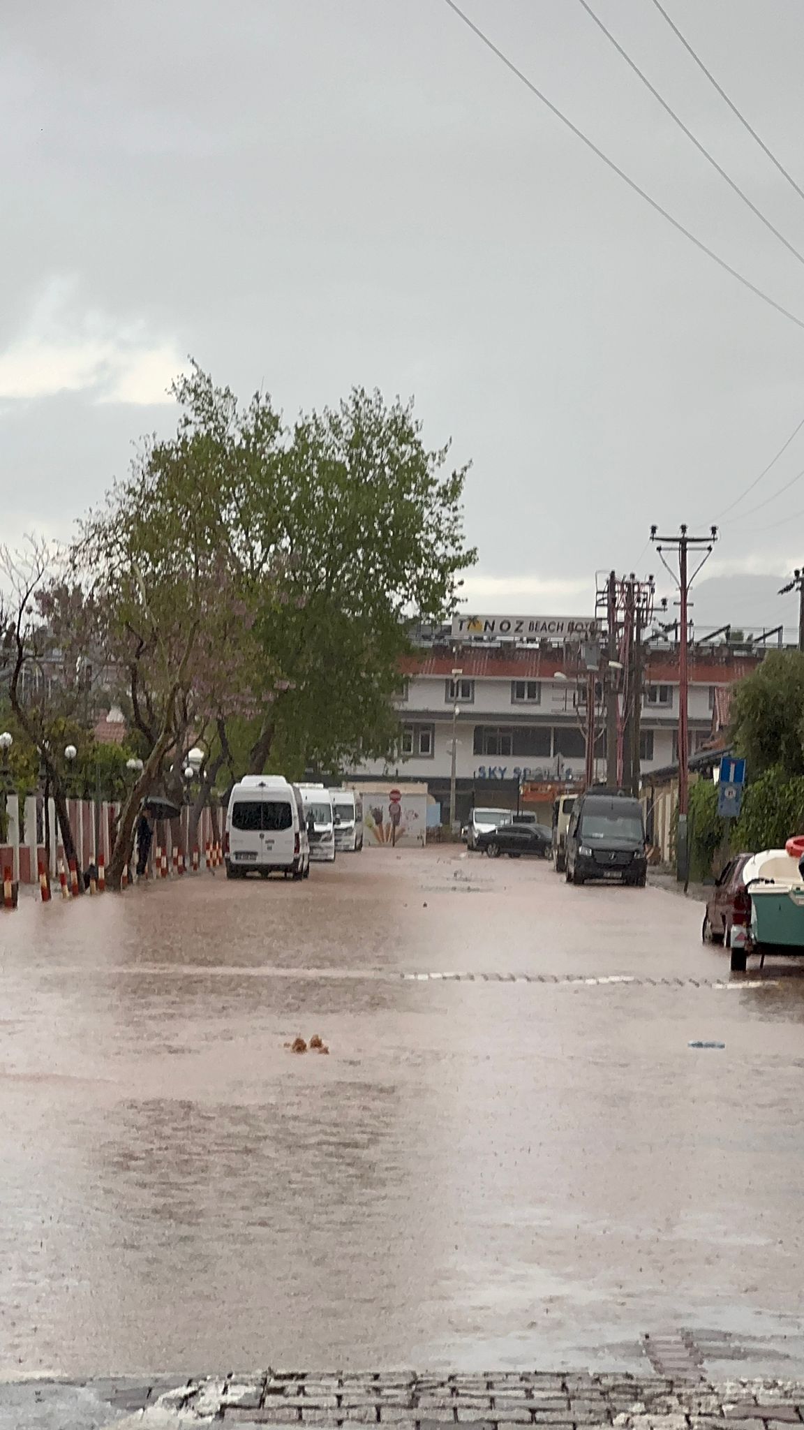 Whatsapp Image 2026 04 04 At 11.56.14