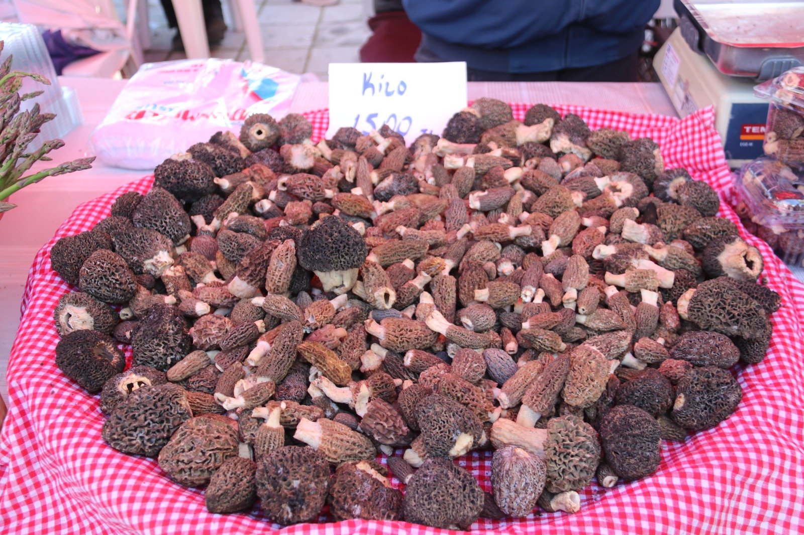 Yeşi̇lüzümlü Dastar Ve Kuzugöbeği̇ Festi̇vali̇ne Bi̇nlerce Ki̇şi̇ Akin Etti̇ (4)