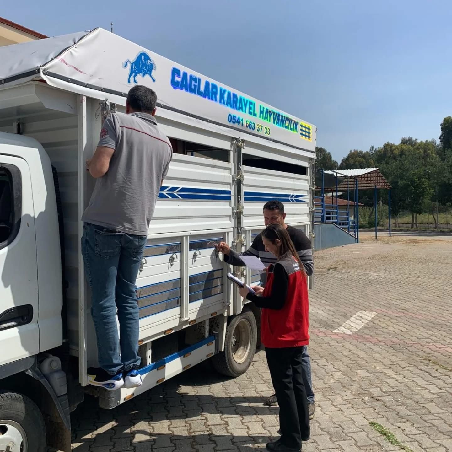 Fethi̇ye’de Kurban Bayrami Öncesi̇ Hayvan Naki̇lleri̇ne Deneti̇m (3)