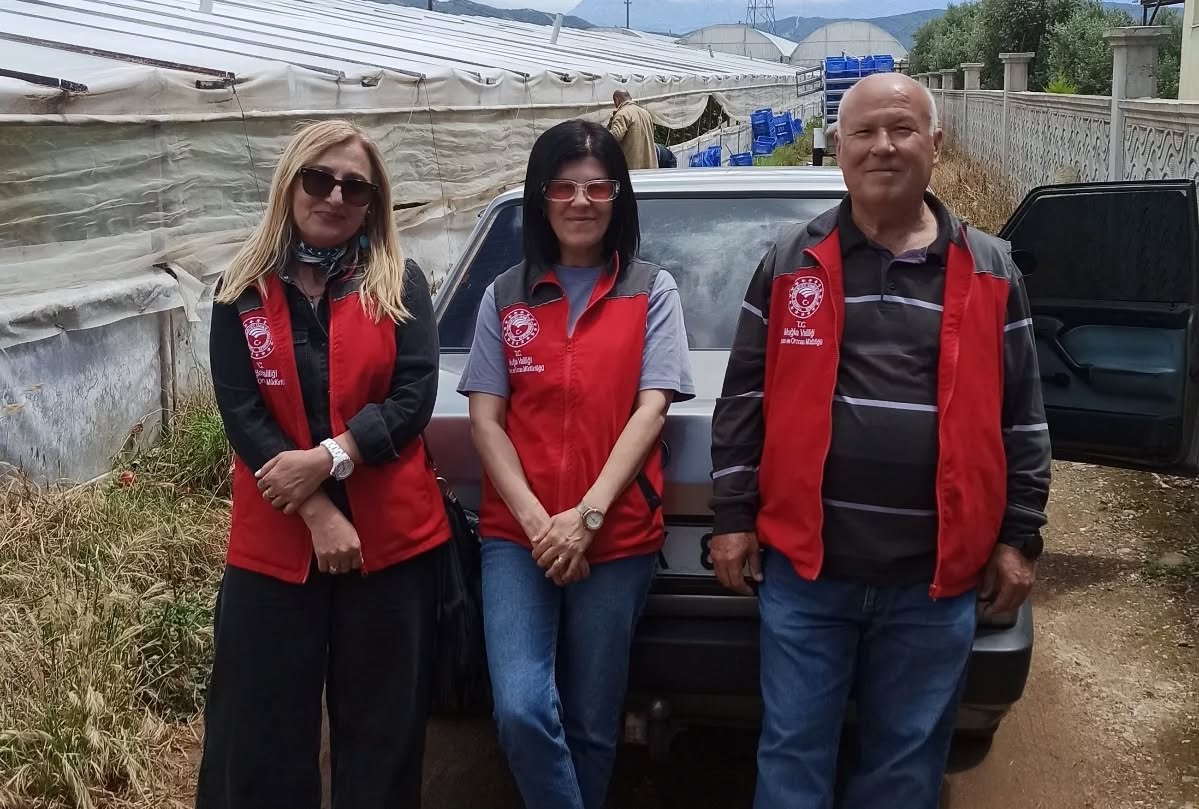 Karaçulha’da Seralara Domuz Saldırısı (10)