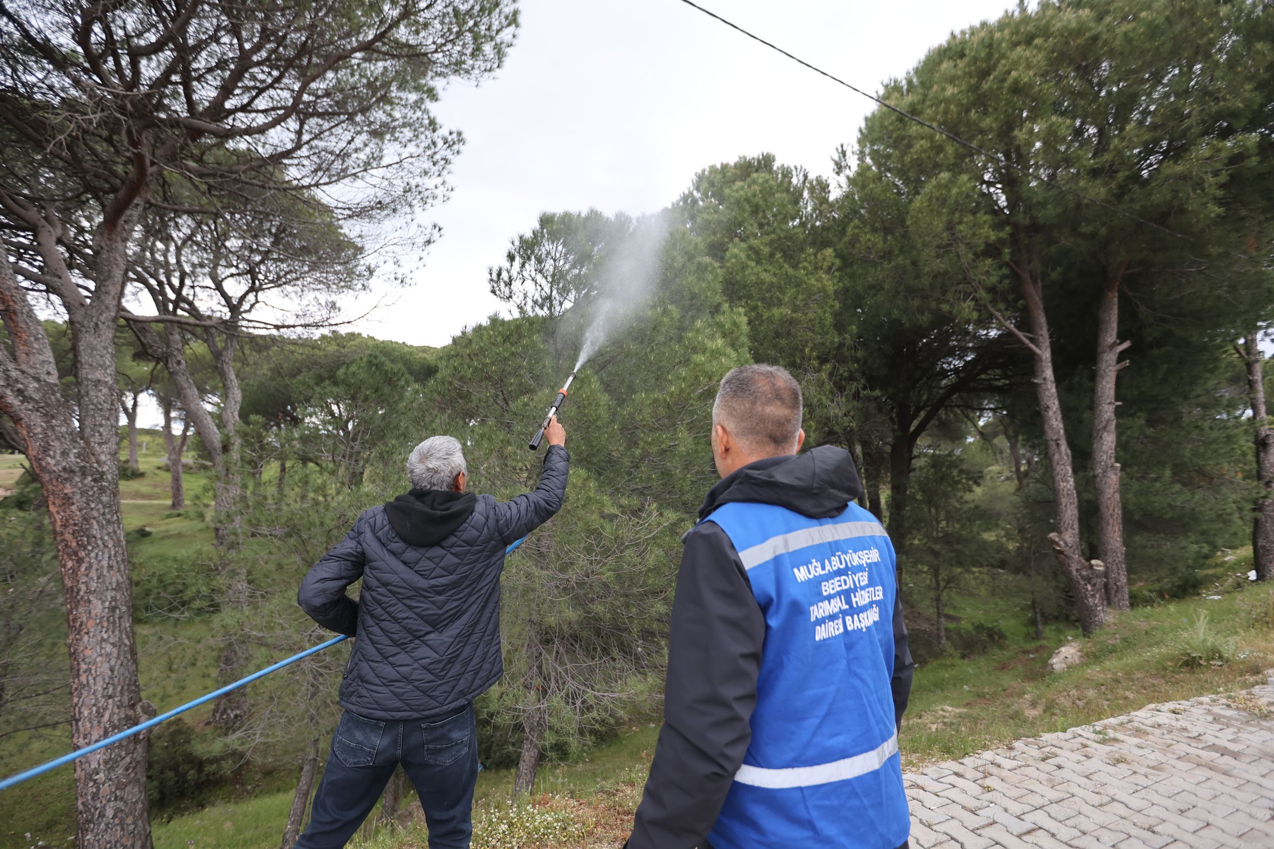Muğla’da Üreticiye Doğa Dostu Destek (3)