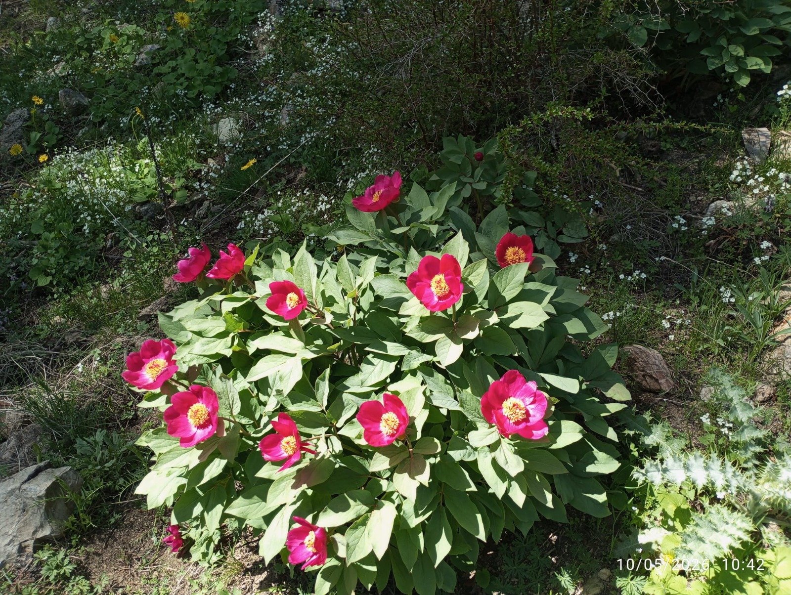 Whatsapp Image 2026 05 11 At 13.13.40 (3)