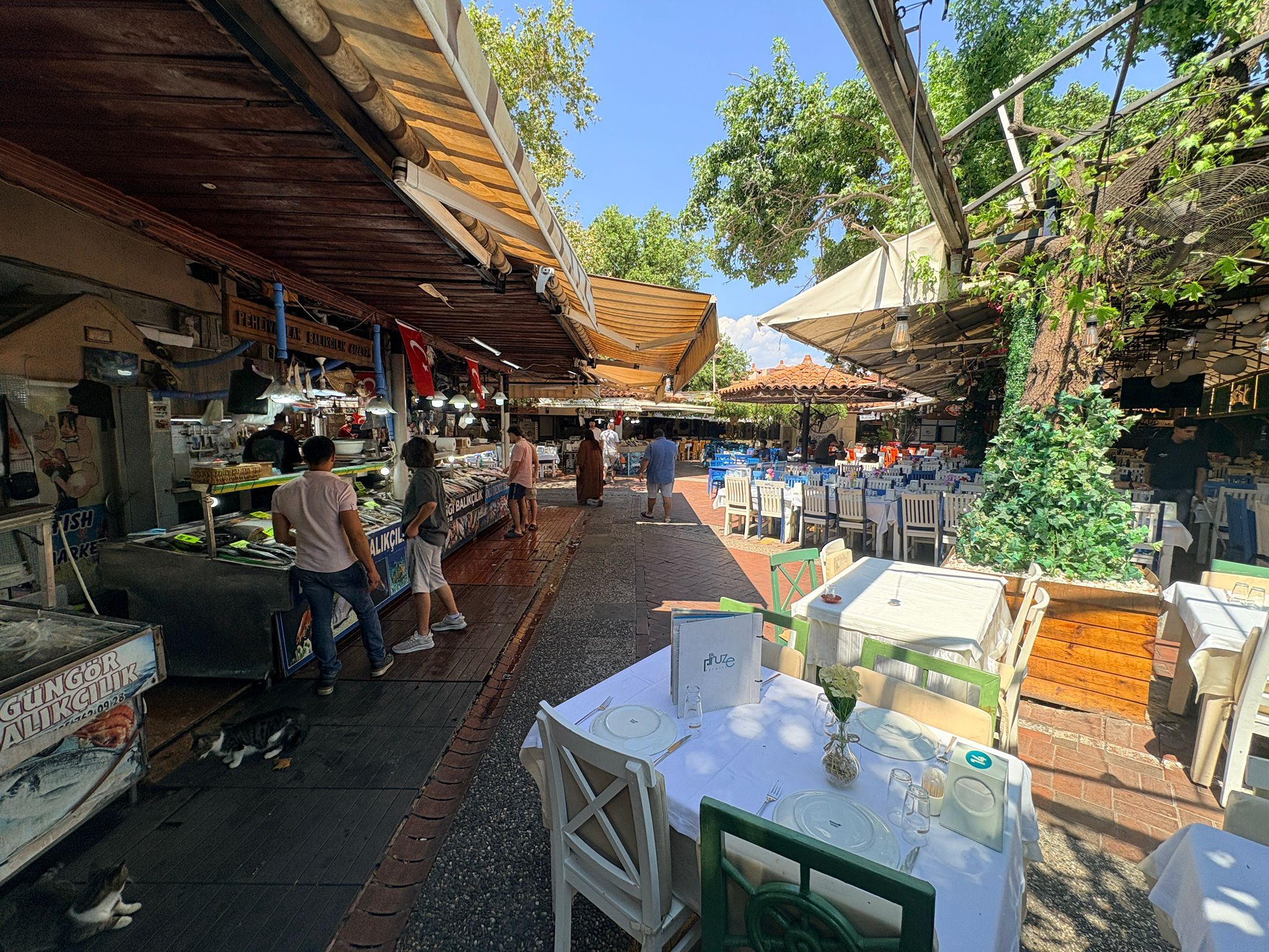 Fethiye Balık Hali’nde Yaz Sezonu Hareketliliği (1)