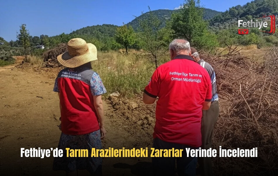 Fethiye’de Tarım Arazilerindeki Zararlar Yerinde İncelendi