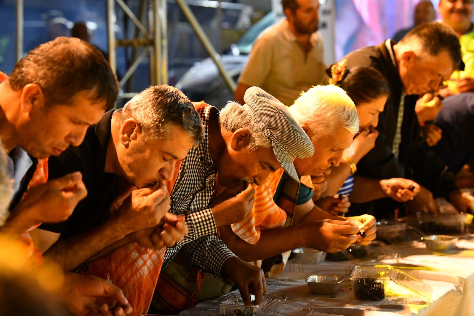 Nif Kiraz Festivali (2)