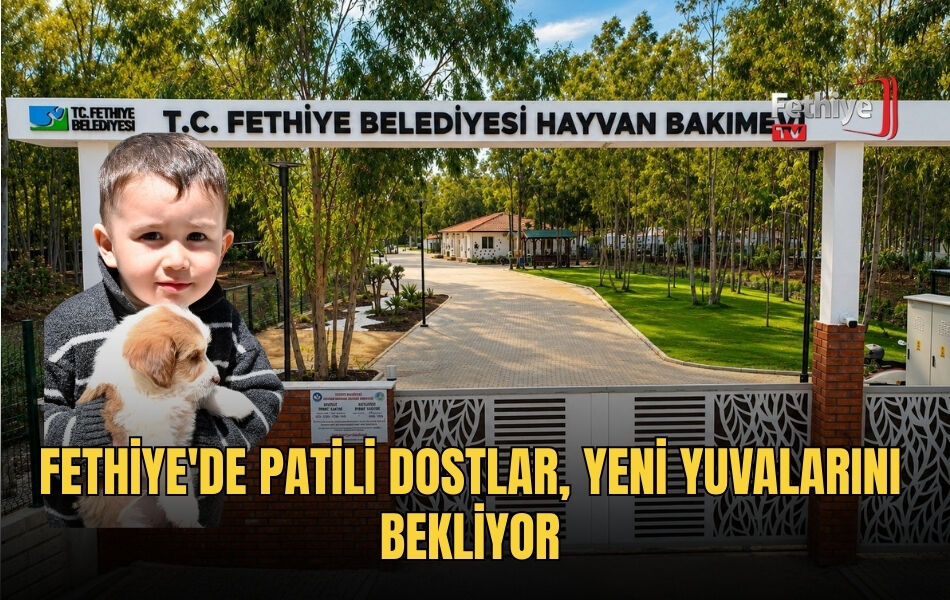 Fethiye'de Patili Dostlar, Yeni Yuvalarını Bekliyor