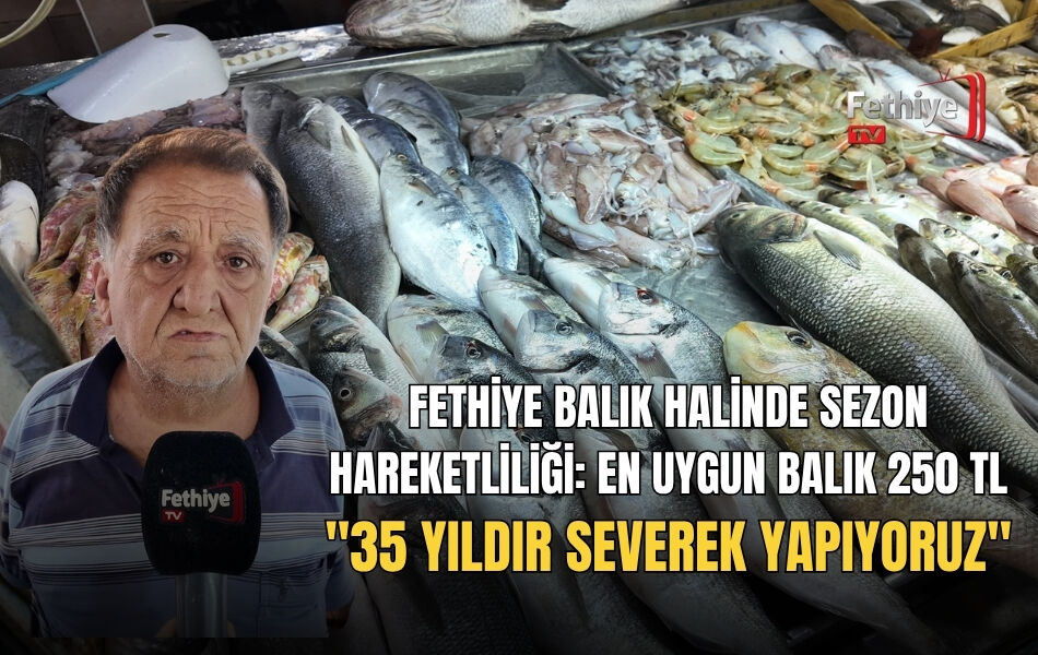 Fethiye Balık Halinde Sezon Hareketliliği: En Uygun Balık 250 TL