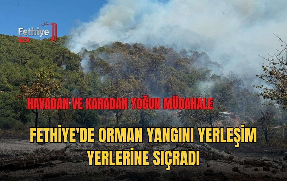 Fethiye'de Orman Yangını Yerleşim Yerlerine Sıçradı