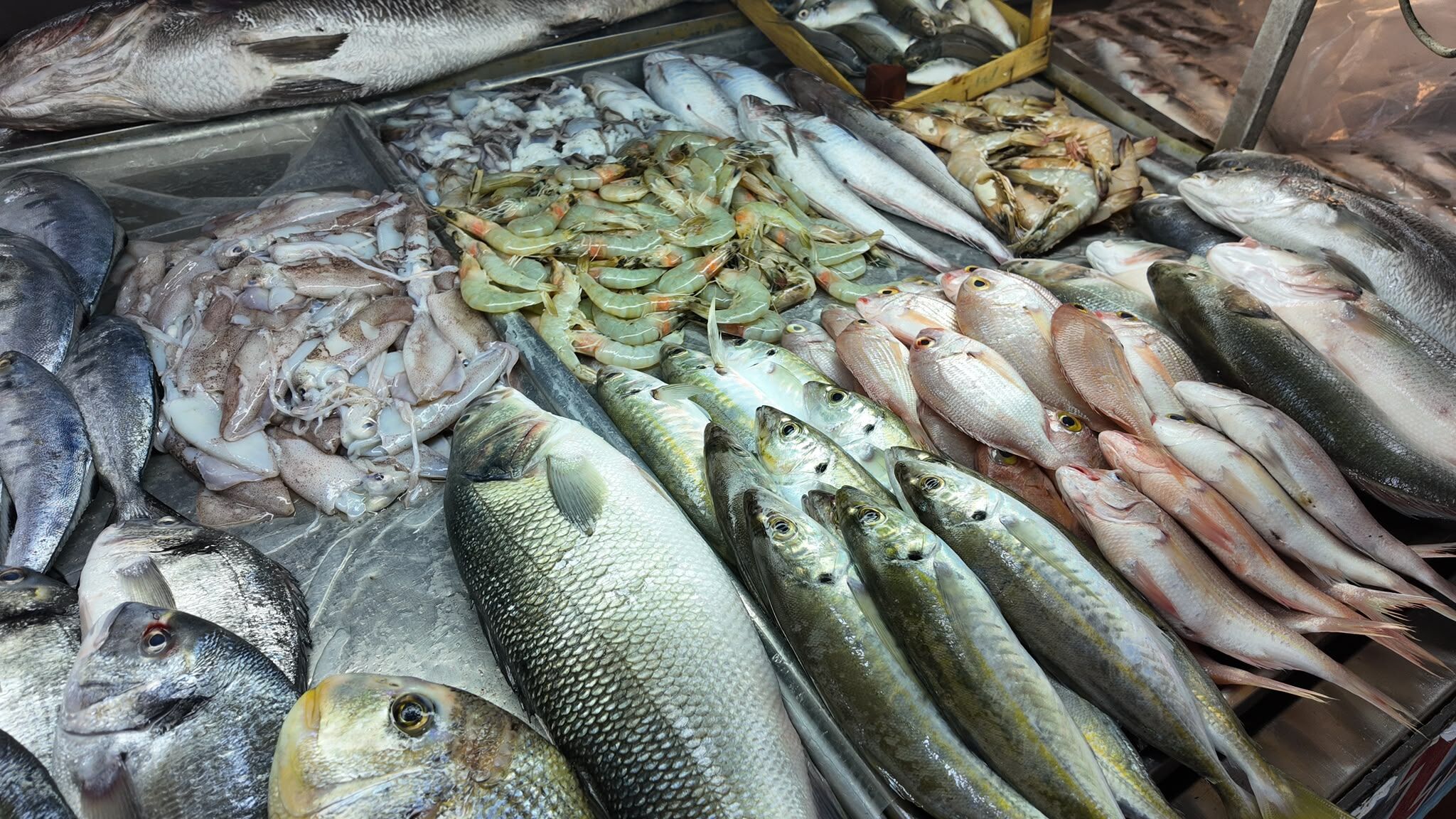 Fethiye Balık Halinde Sezon Hareketliliği En Uygun Balık 250 Tl (4)