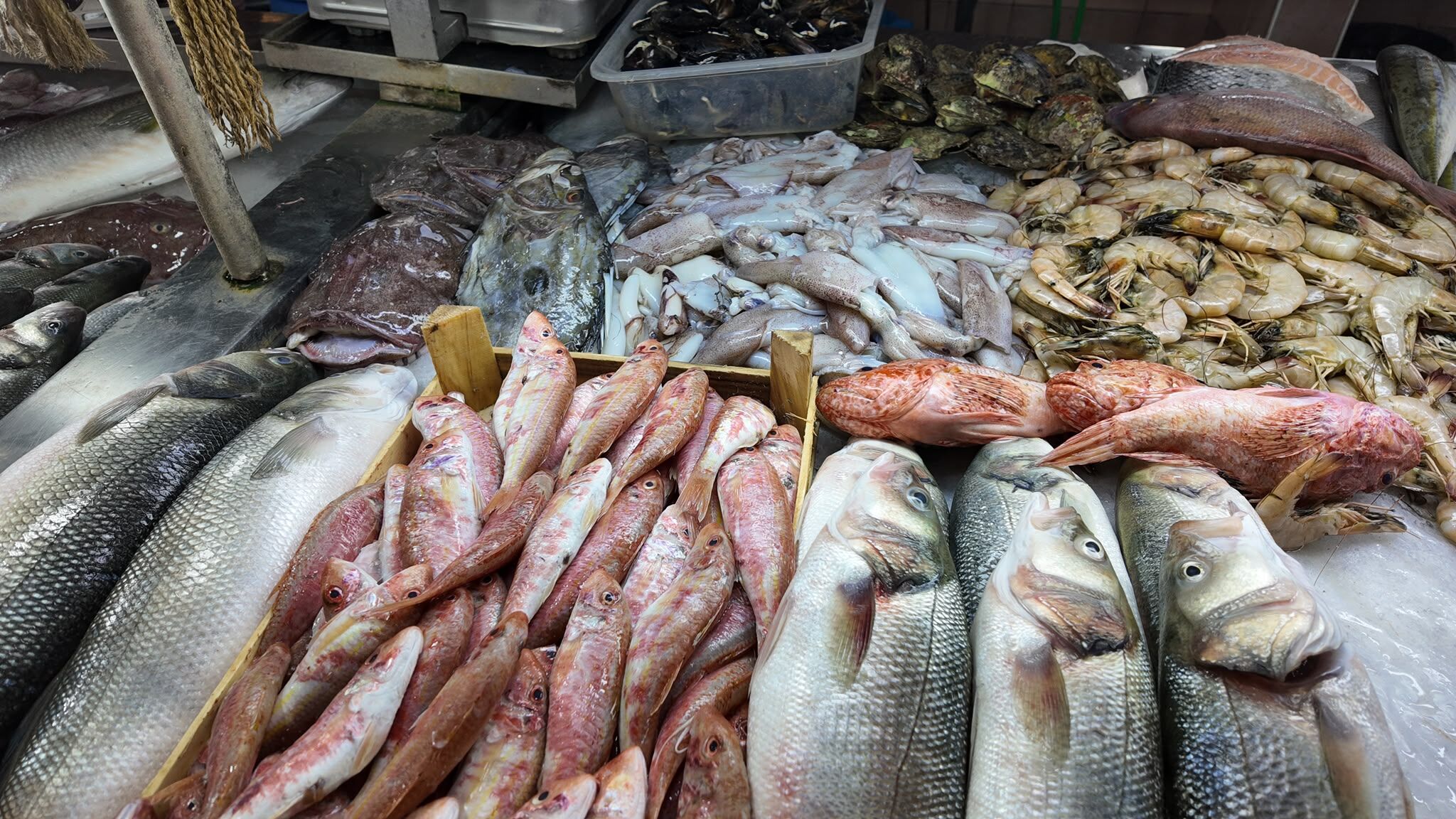 Fethiye Balık Halinde Sezon Hareketliliği En Uygun Balık 250 Tl (5)