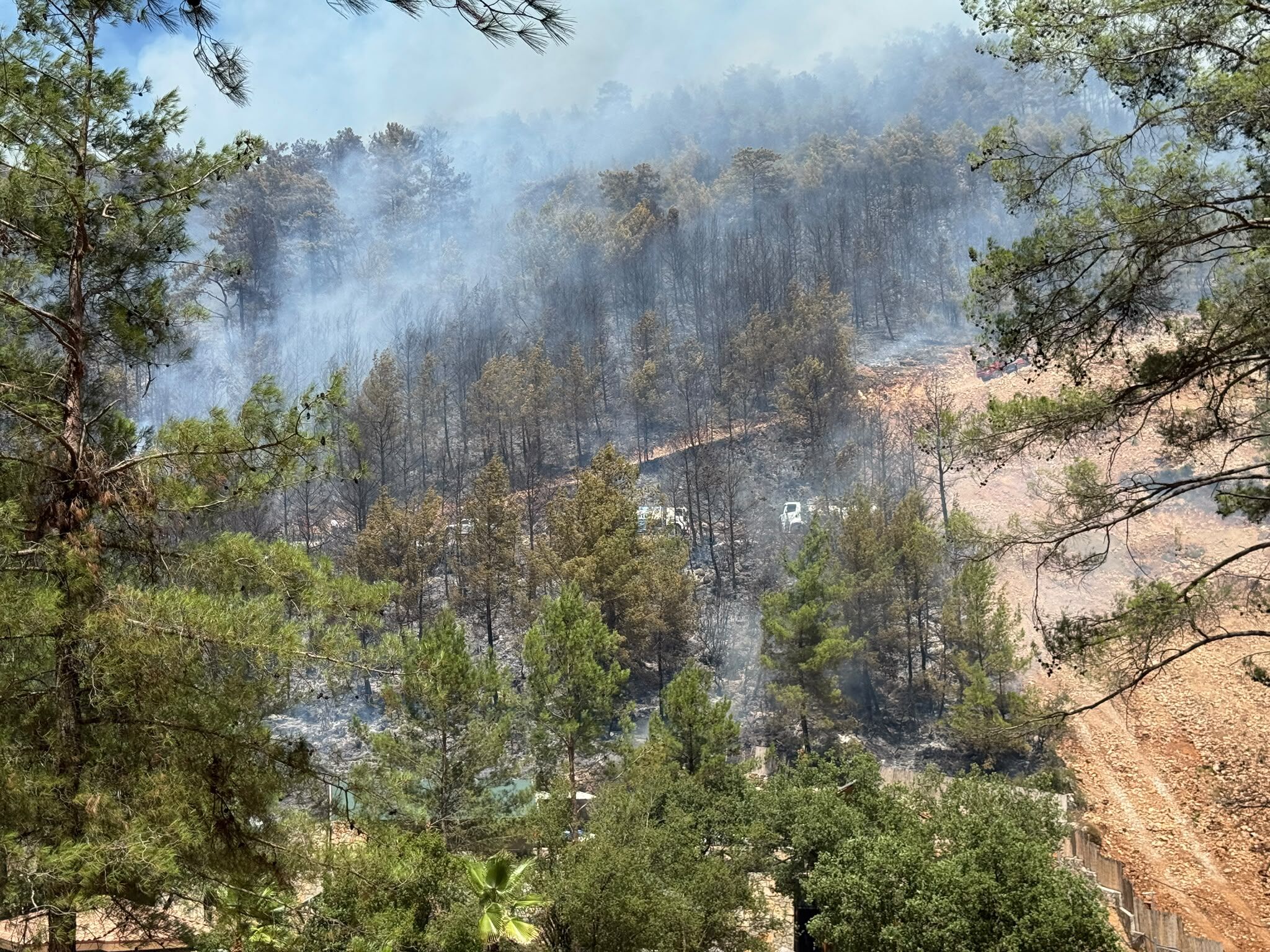 Fethiye'de Orman Yangını Yerleşim Yerlerine Sıçradı (2)