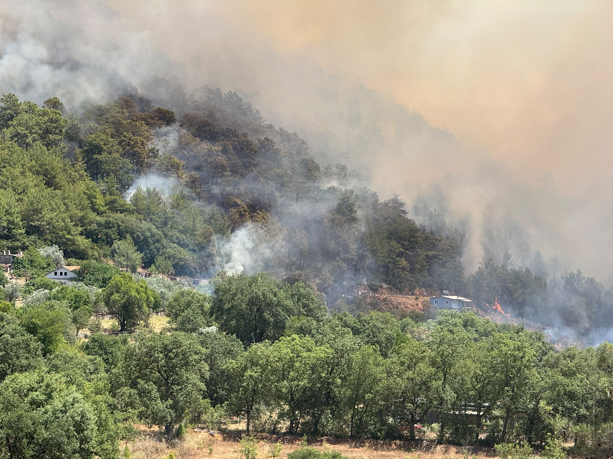 Fethiye'de Orman Yangını Yerleşim Yerlerine Sıçradı (3)