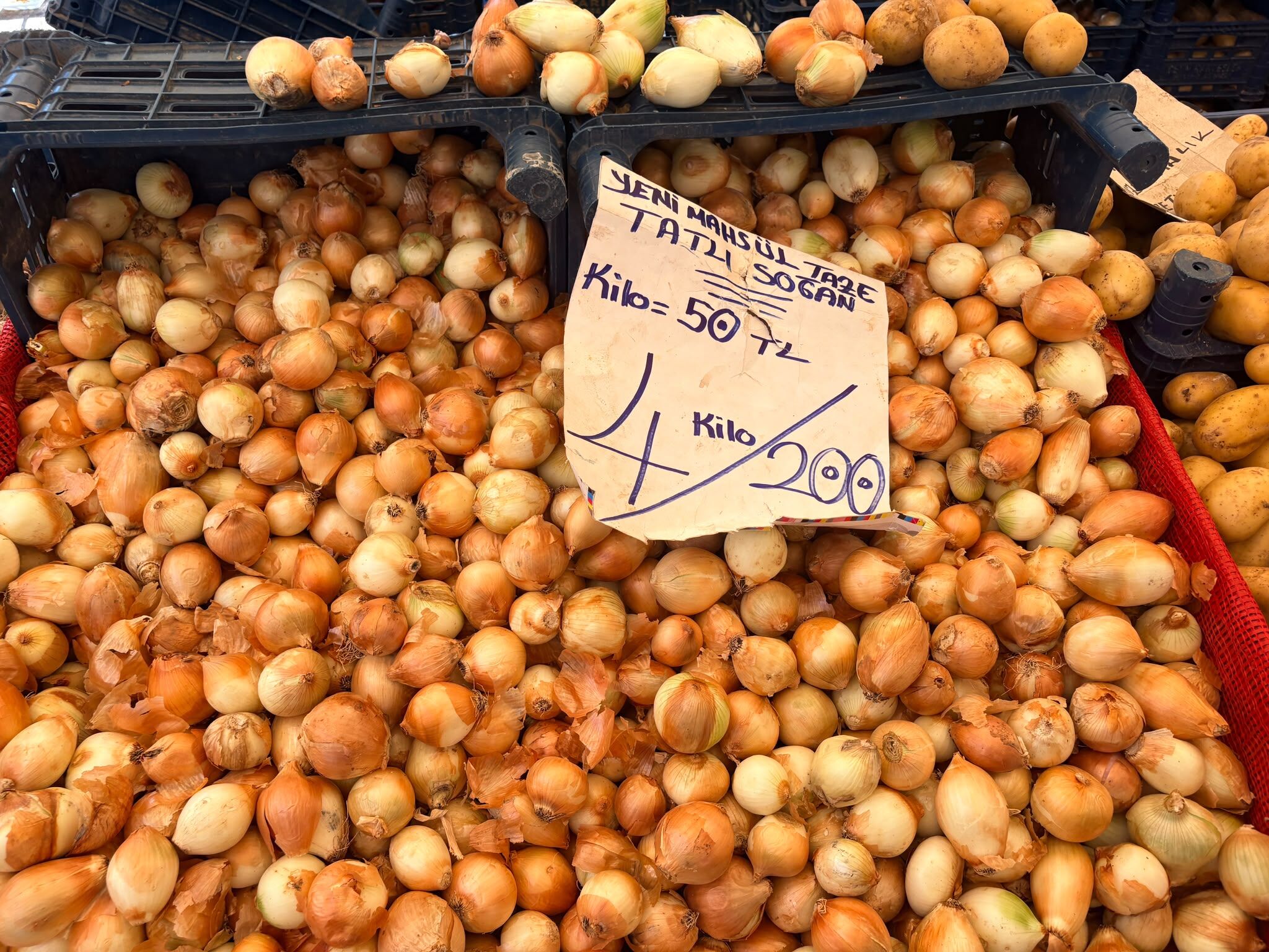 Whatsapp Image 2026 07 28 At 15.23.00
