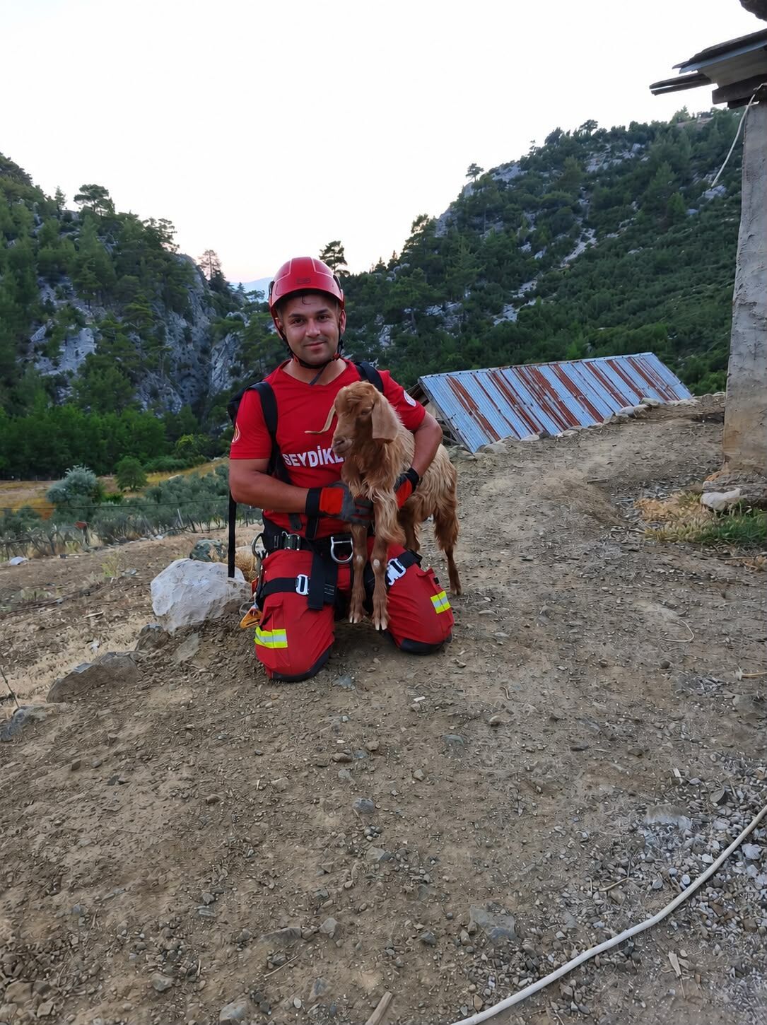 Kayalık Alanda Mahsur Kalan Oğlak Ekiplerin Müdahalesiyle Kurtarıldı (1)
