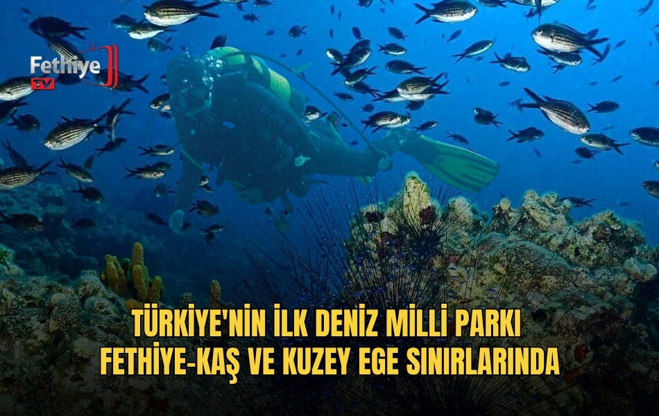 Türkiye'nin İlk Deniz Milli Parkı Fethiye-Kaş Ve Kuzey Ege Sınırlarında