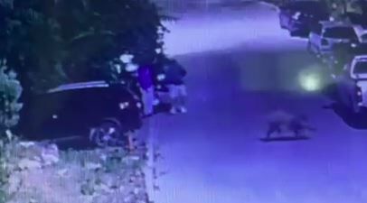 Fethiye’de Bir Garip Hırsızlık Olayı (2)
