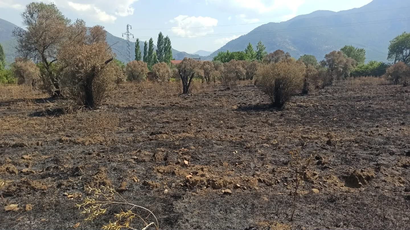 Fethiye'de Yangının Yaraları Sarılıyor (3)