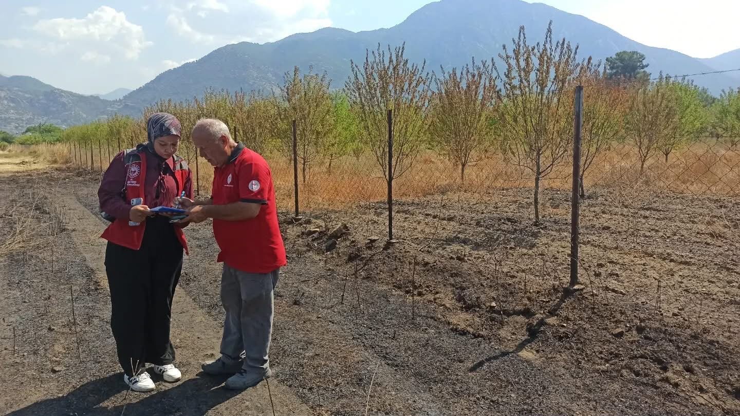Fethiye'de Yangının Yaraları Sarılıyor (5)