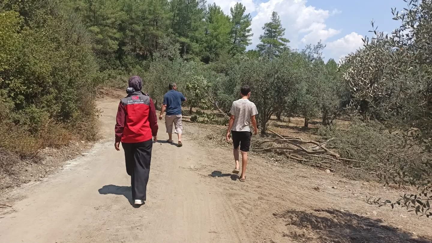 Fethiye'de Yangının Yaraları Sarılıyor (6)