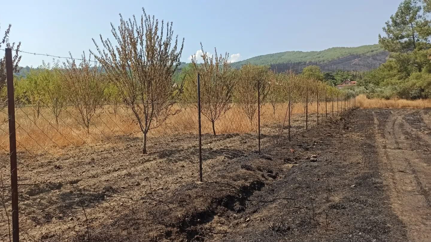 Fethiye'de Yangının Yaraları Sarılıyor (7)