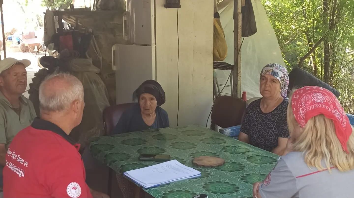 Fethiye'de Yangının Yaraları Sarılıyor (8)