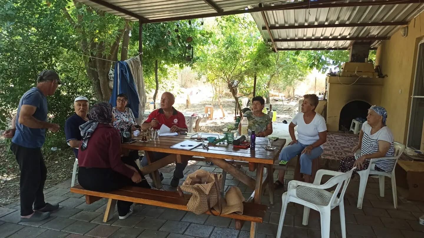 Fethiye'de Yangının Yaraları Sarılıyor (9)