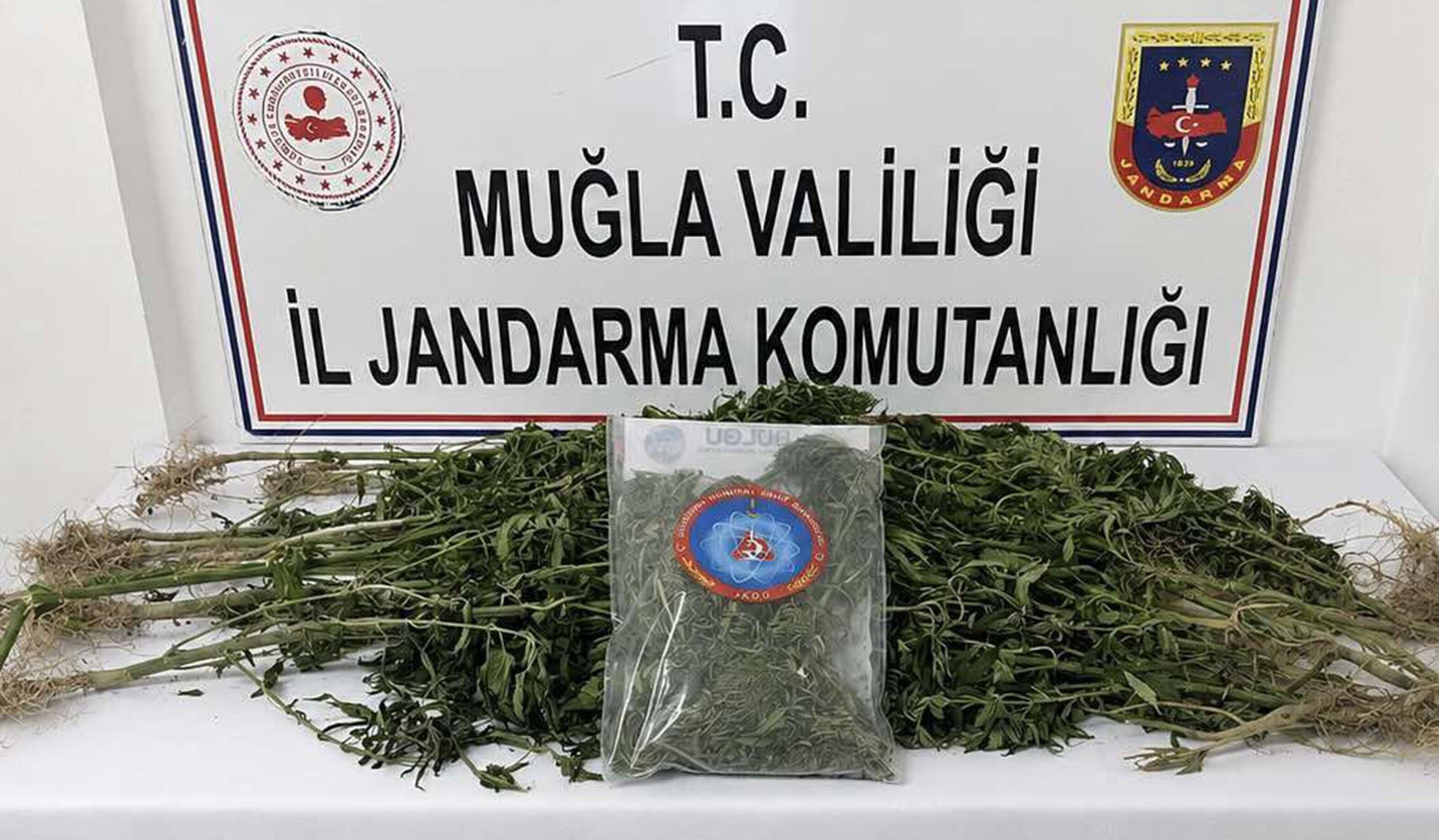 Muğla Jandarmasından Uyuşturucu Tacirlerine Operasyon 33 Tutuklama (1)