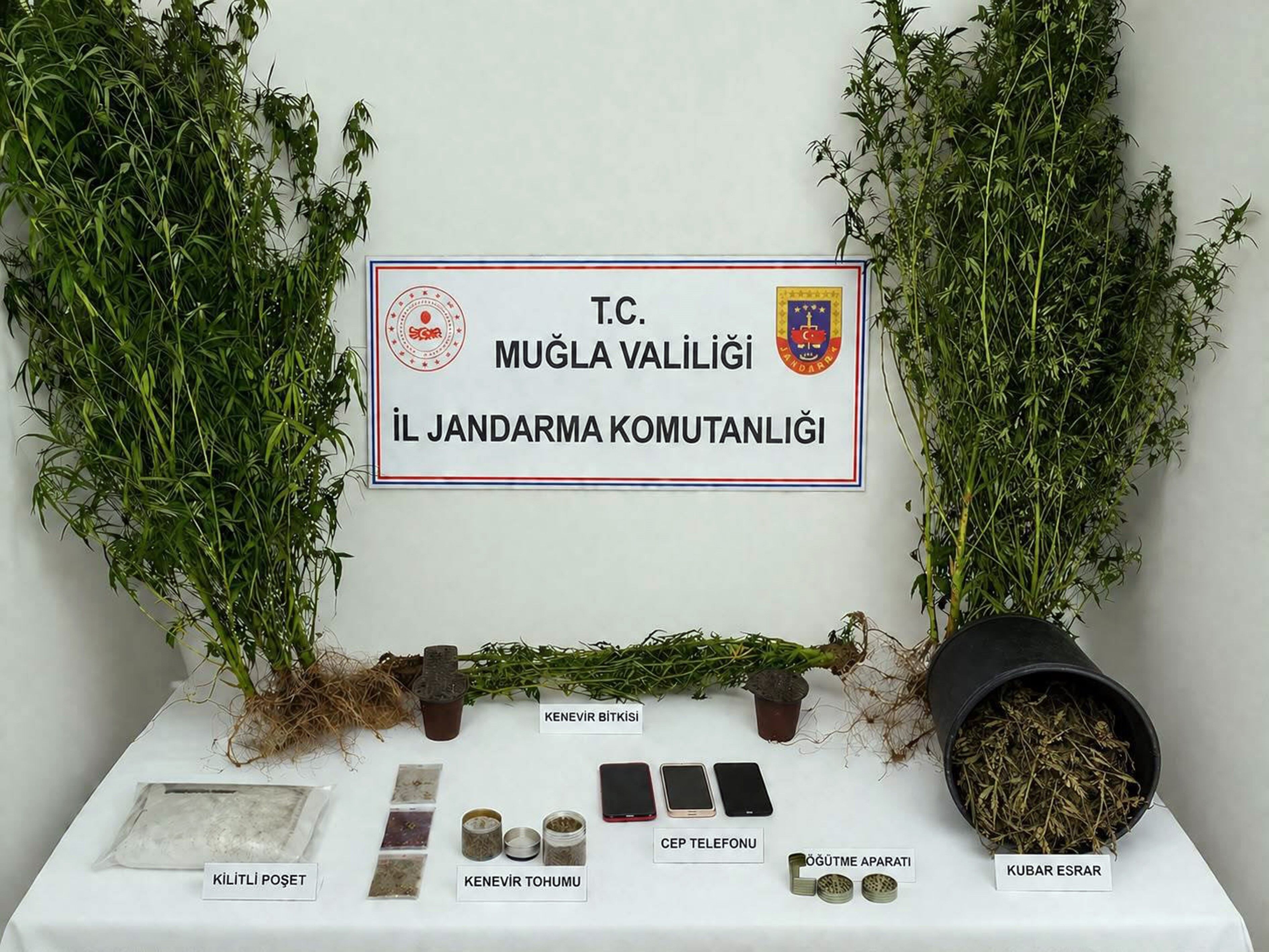 Muğla Jandarmasından Uyuşturucu Tacirlerine Operasyon 33 Tutuklama (2)