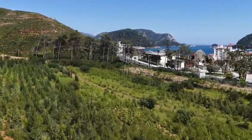 Muğla’da Büyük Yanginlarin 5. Yilinda Yanan Alanlar Yeşi̇l Örtüsüne Kavuştu (5)