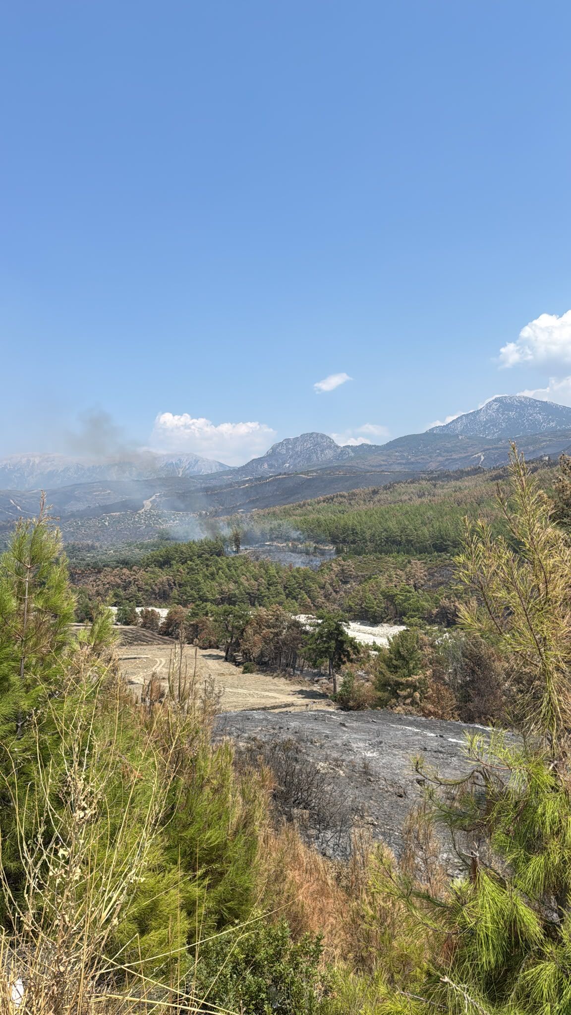 Seydikemer Devlet Hastanesi Arkasında Çıkan Orman Yangını Kontrol Altına Alındı (2)