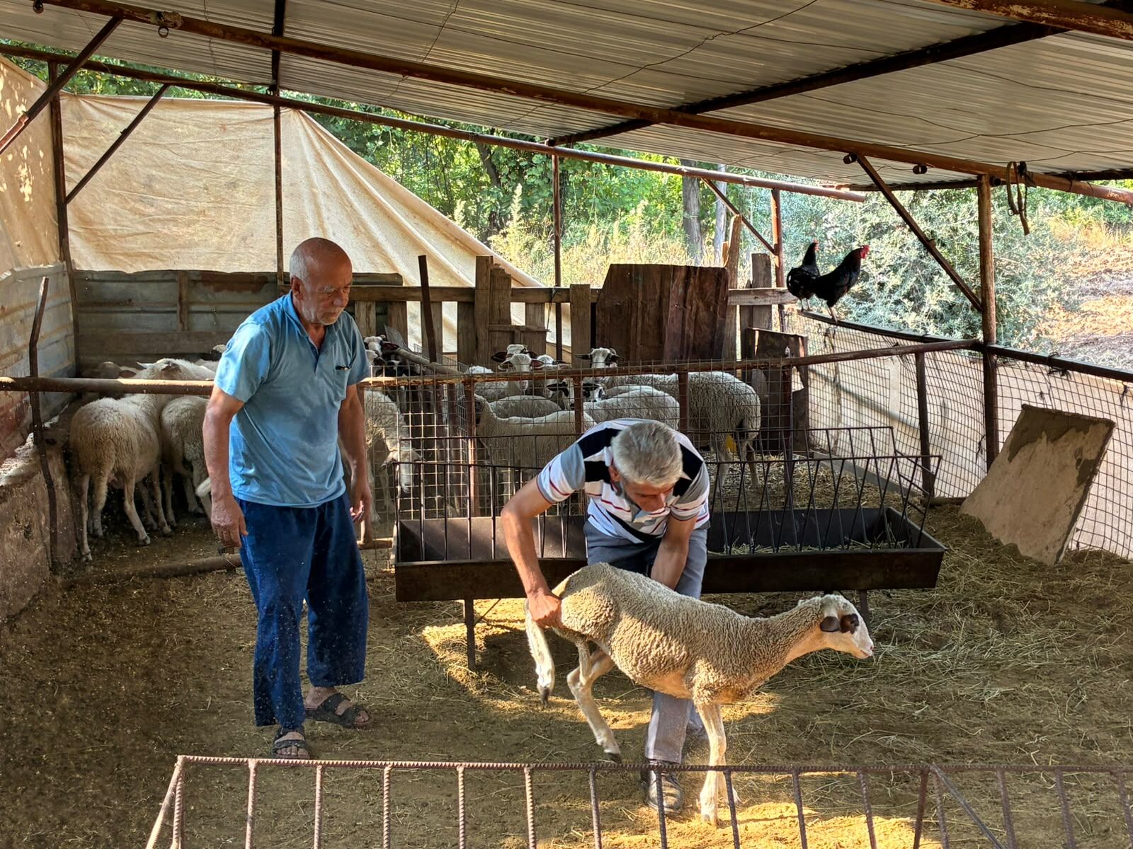 Seydikemer Kayadibi Halkından Yangınzedelere Yardım Eli (1)