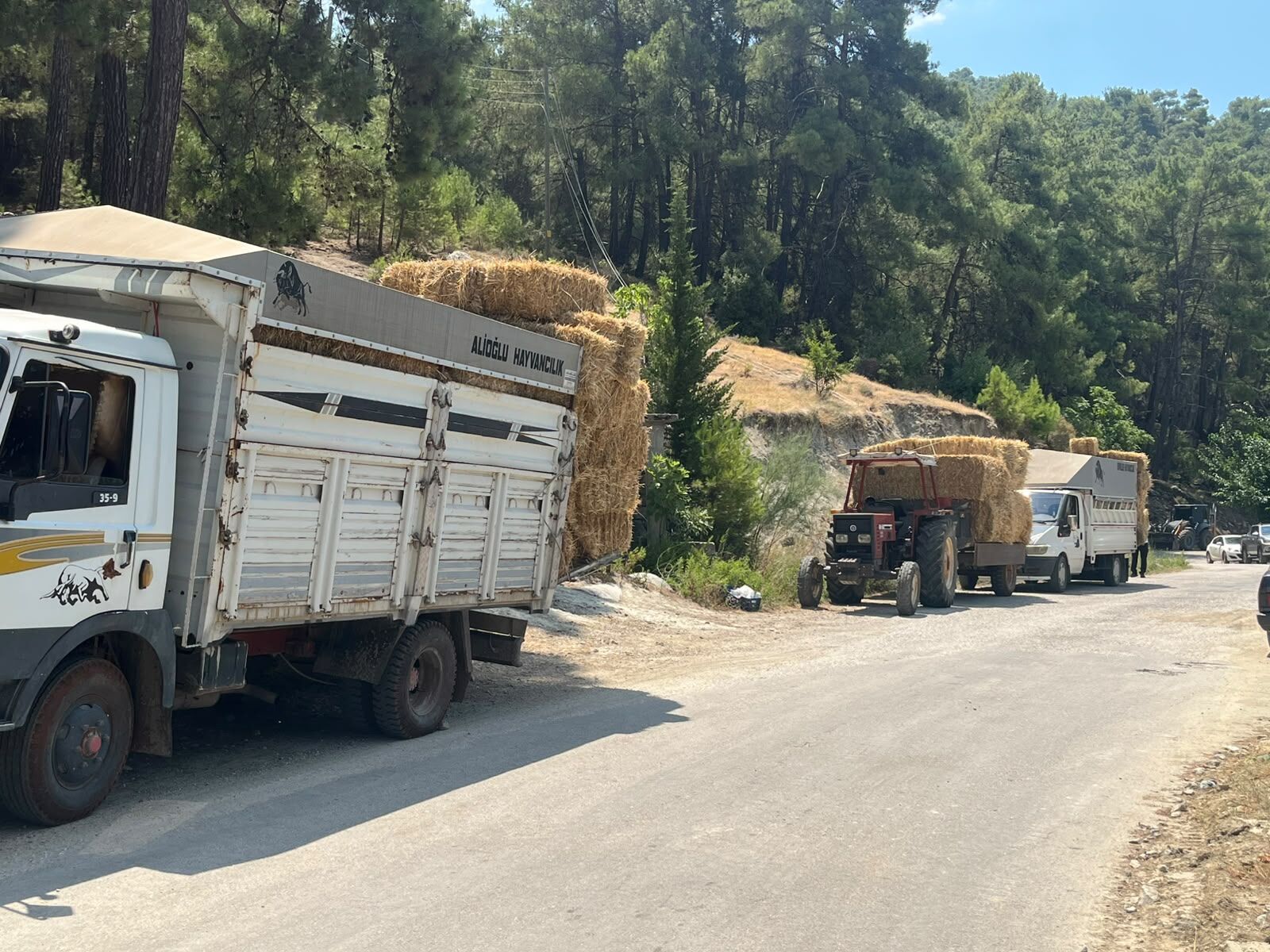 Seydikemer’de Çaykenarı'ndan Dereköy'e Yardım Eli (3)