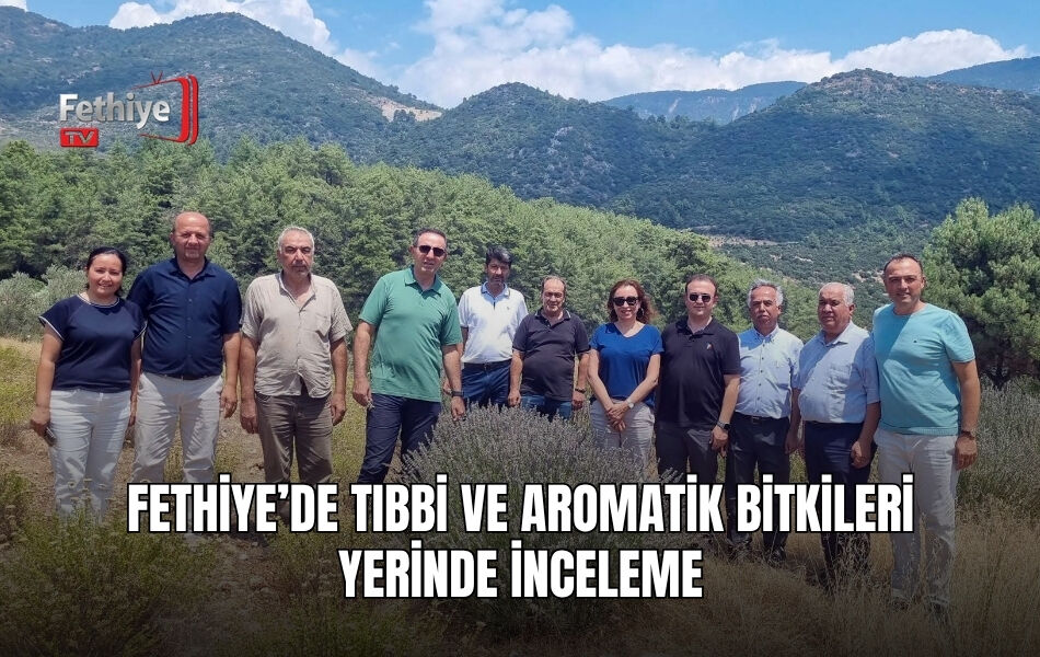 Fethiye’de Tıbbi Ve Aromatik Bitkileri Yerinde İnceleme