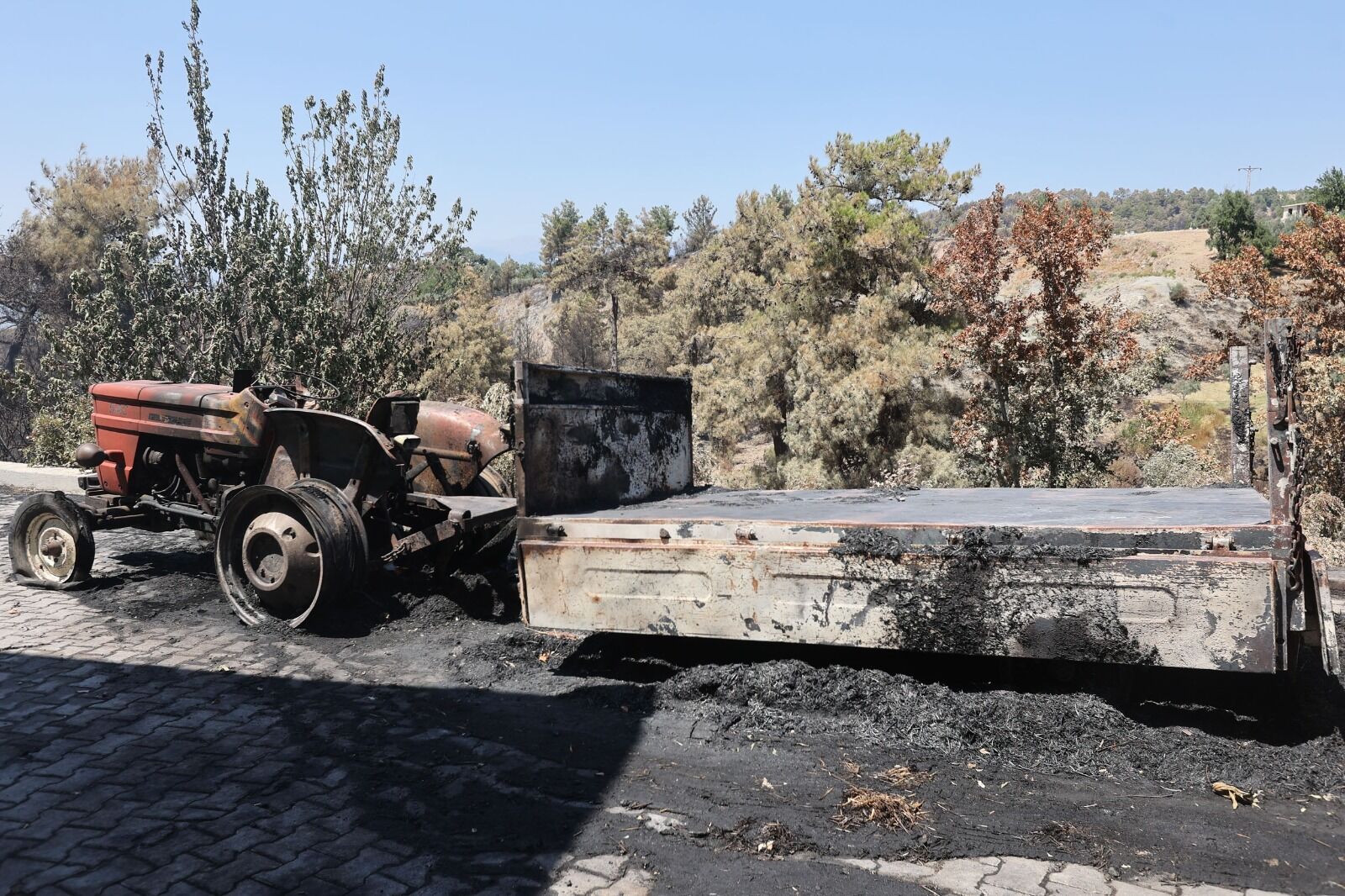 Yangında Hayvanlarını Ve Tarlalarını Kaybeden Üreticilere Büyükşehir Desteği (3)