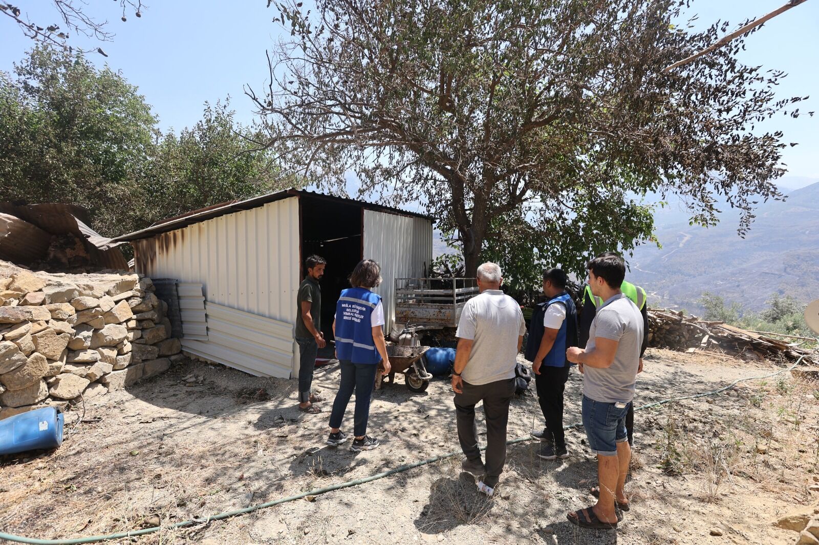 Yangında Hayvanlarını Ve Tarlalarını Kaybeden Üreticilere Büyükşehir Desteği (8)